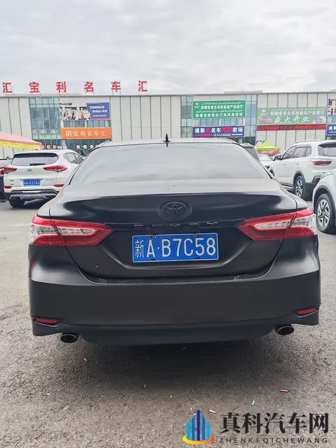 红桃国际：国际红桃，全球风采呈现-2