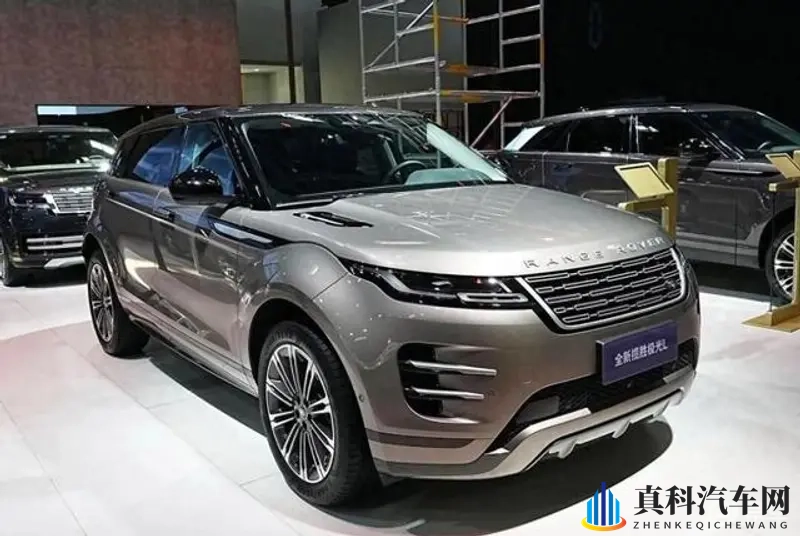 张柏芝高潮了6次我受不了了：张柏芝连续高潮，感受震撼难以承受-2