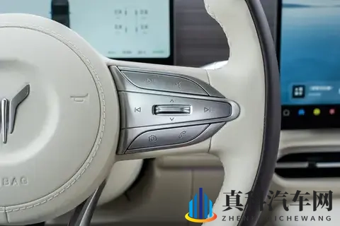 26款岚图梦想家:豪华MPV的标杆,内外兼修,全面升级-3