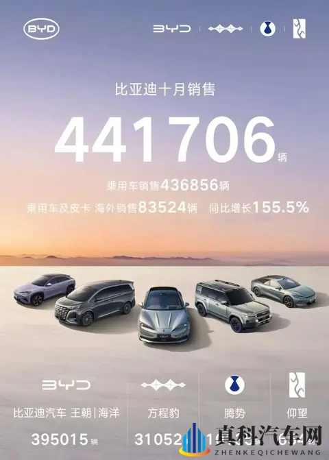 秦宋开道,比亚迪布局2026车市-3