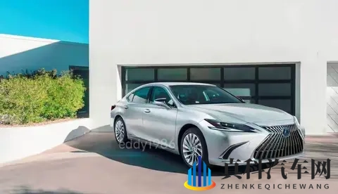 综合一区:新能源汽车崛起,汽车市场未来可期-2