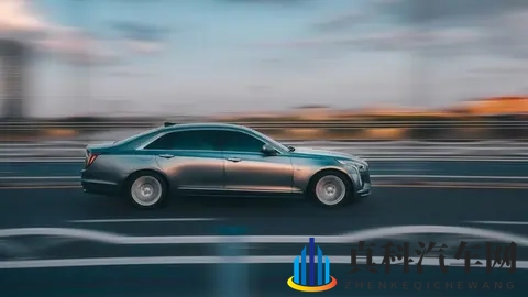 荷兰政府5“神操作”，全球车企差点集体趴窝-1