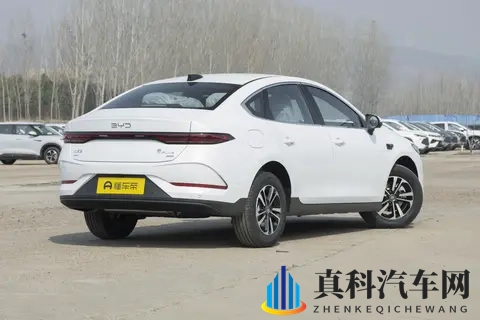 街头新车认不出,品牌多到眼花,车市悄悄变了天-1