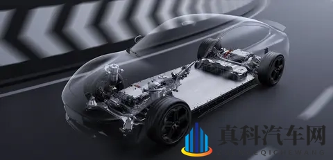 “绿化带战神”背后真相：为何频频冲草坪？专业拆解四大核心原因-1