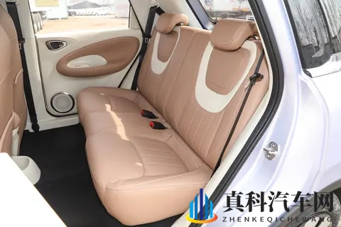 五菱缤果购车指南：5万级纯电小车如何选？续航、动力、智能解析-2