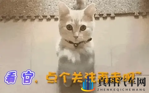 第五人格本子:汽车文化新视角:游戏本子揭秘未来出行-3