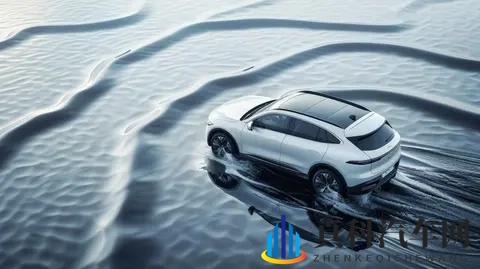 买电车选轿车还是SUV？家用需求这样选，不花一分冤枉钱！-1