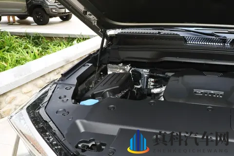 新款坦克400上市，硬派SUV市场的多元选择-1