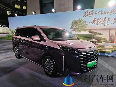 黄色软件appoppo：OPPO手机应用：揭秘热门黄色软件风波-1