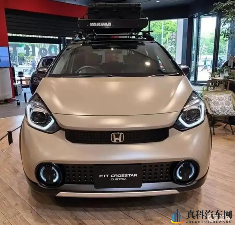 欧美寡妇性猛交XXX免费:欧美寡妇热情似火,私密激情免费分享-1