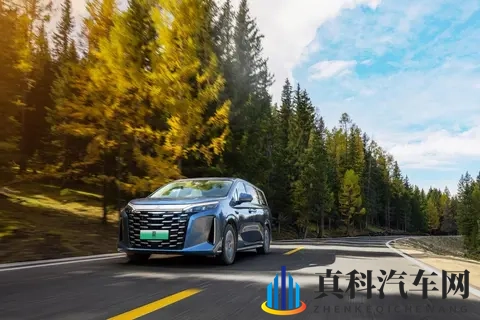 最好看的2019年中文字幕：2019汽车电影字幕盛宴，盘点年度佳作-2