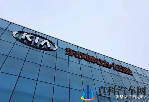 起亚高管嘴硬,销量崩盘,比亚迪笑到最后-1