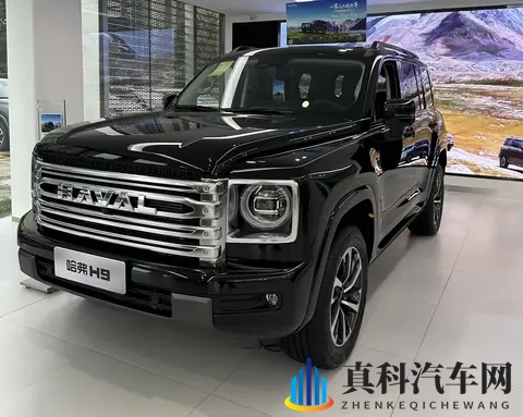 哈弗H9全解析:低配务实派vs高配全能手,谁才是终极答案?-2