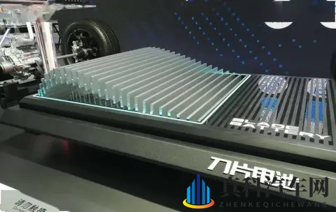 坚持磷酸铁锂的比亚迪，本质上是在维护行业声誉-2