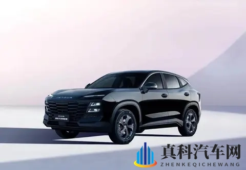 捷途大圣青春版杀入市场，钱袋子和面子都想照顾到位-3