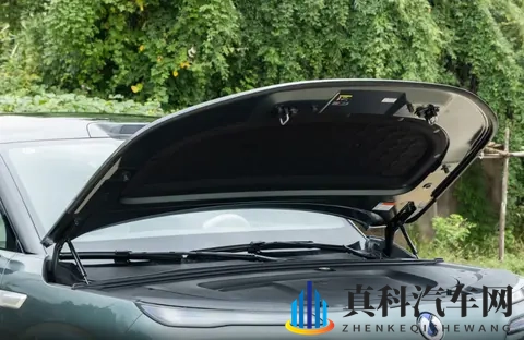 什么？起售价还不到30万，腾势N8L DM这波操作让竞争对手慌了-1