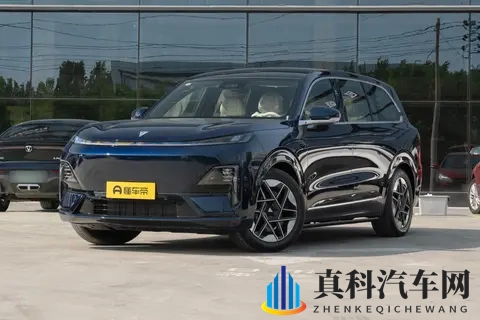 深蓝S09与理想L9对比分析,谁更适合追求性价比的家庭用户?-1