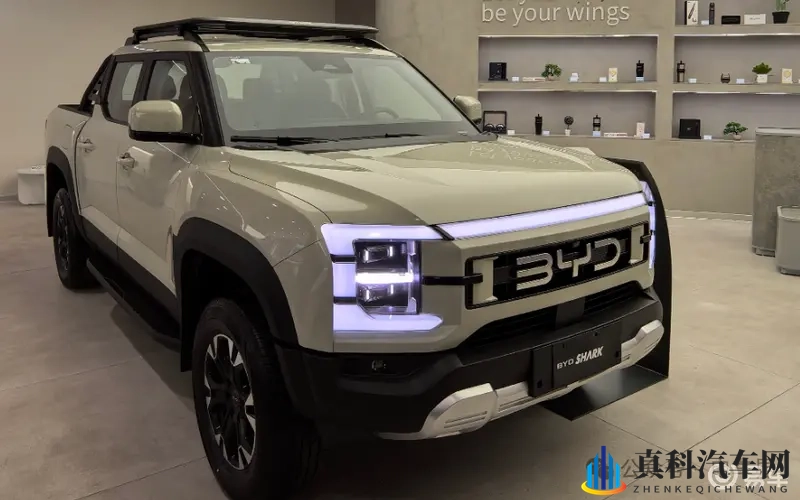 比亚迪高管确认:已规划在国内推出SHARK皮卡!-1