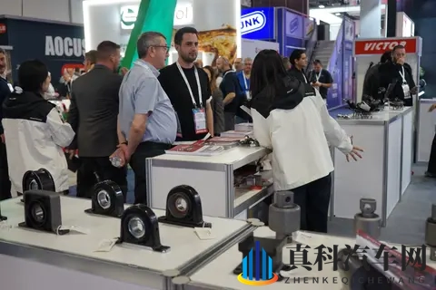 暴躁大妈2农场女儿角色剧情介绍森林:全新SUV融入自然元素,体验森林驾驭之美-2