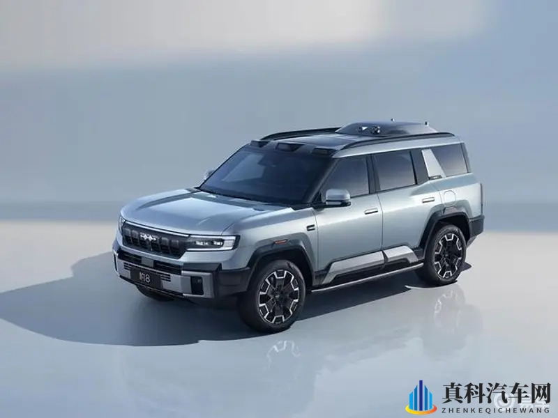 4438 2亚洲最大成人网:新能源汽车崛起,智能汽车时代来临-1