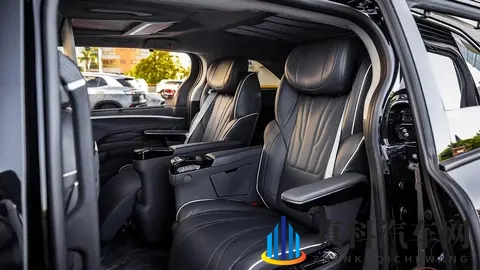 丰田赛那定制版亮相 配冰箱彩电大沙发 豪华感提升-2