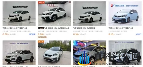 市场很热闹,用户更务实!如何看待争议之下的“飞度现象”-2