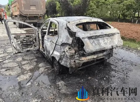 长见识了！新能源汽车在服务区被雷电击中，车顶铁皮烧融，有熔点-1