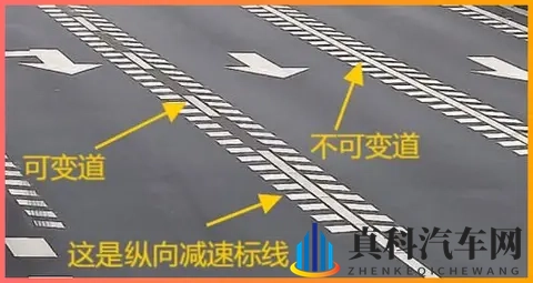 女性自慰 免费网站风险：网络安全陷阱：揭秘免费网站潜在风险-3