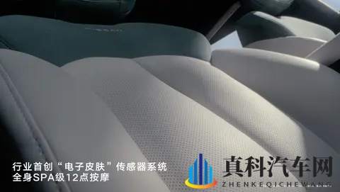 10万元带冰箱彩电大沙发,日产要开始亏钱卖车了…-3