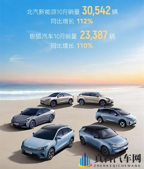 10月新势力销量出炉，“蔚小理”格局大变，理想跌出前五？-1