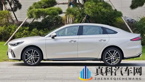 少妇3p:激情演绎,三人性爱片段曝光-3