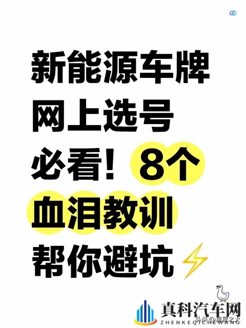 新能源网上选号必看!8个血泪教训帮你避坑-1