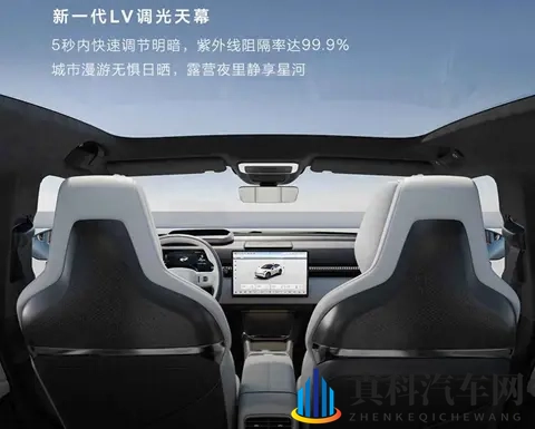 久久这里只有精品6：此间常有珍品,长久流传不息-2