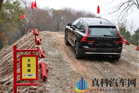 好·色·先·生T∨:色彩潮流,智能新驾:新车发布引关注-2