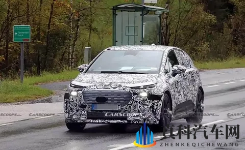 张柏芝高潮了6次:张柏芝观影时情绪高涨,连续达到6次高潮-2