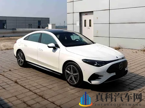 一级A爱：首等情谊，深厚无比-2