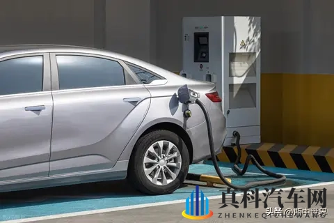 妈妈孩儿小马拉大车:母爱如山,育儿路漫漫,儿弱母肩承重担-3