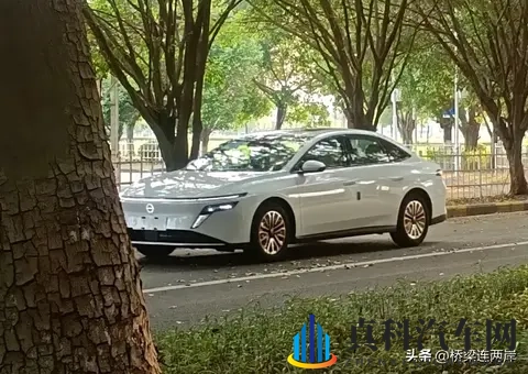 张紫妍被揉到高潮下不了床：张紫妍遭遇虐待致身体瘫痪，痛苦难耐无法入眠-3