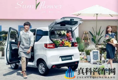 180万销量背后故事,始终与用户同频,宏光MINIEV引领代步车潮流-2