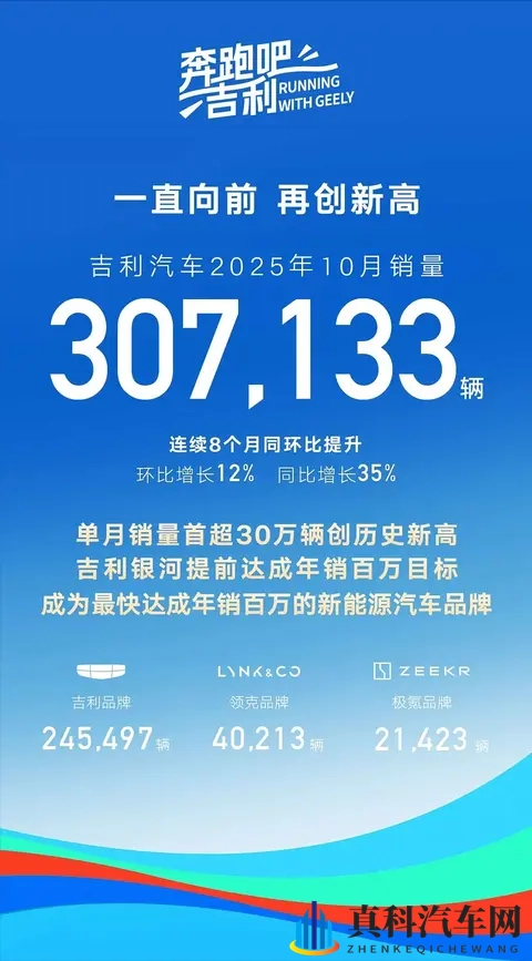 10月销量排行：多数车企创新高，比亚迪跌至第二-2