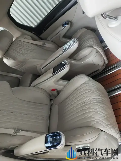 人人射人人：汽车共享新篇章，出行革命来袭-3