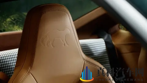 以自然景观为定制开发灵感,保时捷911 GT3 ‘Ocelot’正式发布-3