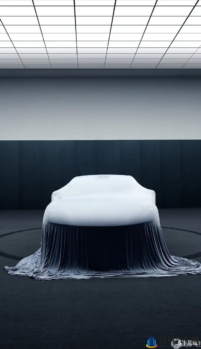 跨种族亚洲人与黑人:豪华SUV惊艳亮相,多元文化共鉴风采-2