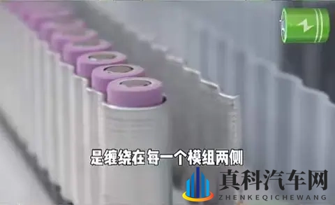 烧成骨架的残骸，开始反噬电车行业，吹牛造成的恶果-3