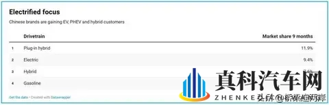 中国车欧洲斩获74%份额，为何德国市场仅29%？-3