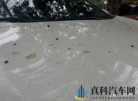 10个致命养车误区,90%车主都中招!做好这些让爱车多开5年!-2