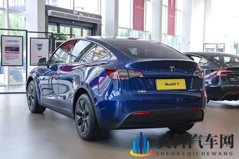 2025年SUV销量榜出炉！Model Y稳坐第一，这两款车竟成黑马-3