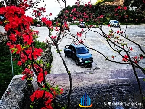 银十销冠炸场!零跑月卖7万成新王,去年还差点倒闭?(随笔)-1