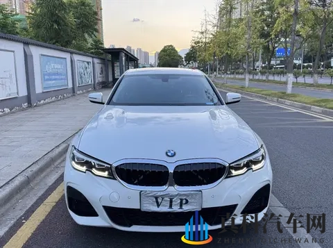 中国老太体内 精ggggg：新能源汽车崛起，智能驾驶来袭，出行新方式引期待-3