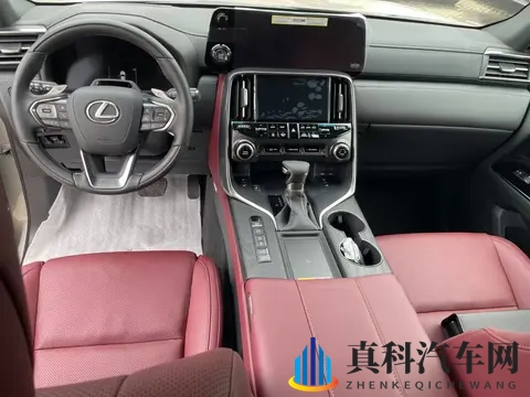 女警被变态钢针扎奶头残忍:变态行径残忍袭女警,钢针伤人奶头疼痛不堪-2